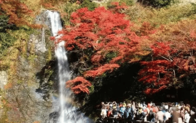 Full Day Private Osaka City Tour With Englishspeaking Guide - Booking Information