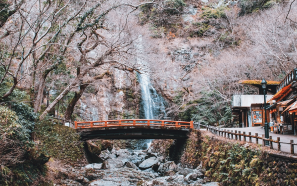 Full Day Private Osaka City Tour With Englishspeaking Guide - Pricing and Group Size