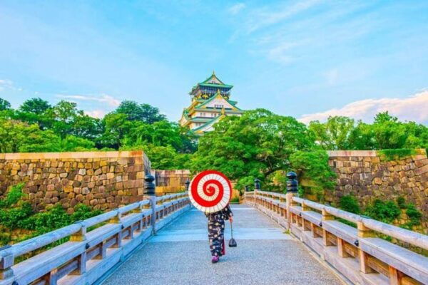 Full Day Private Osaka City Tour With Englishspeaking Guide - Local Culinary Experiences