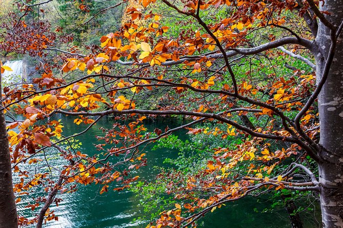 Full-Day Private Plitvice Lakes National Park Tour From Split - Reviews