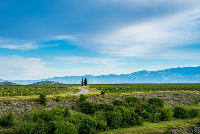 Full Day Private Podgorica Wine Tour Experience - Good To Know