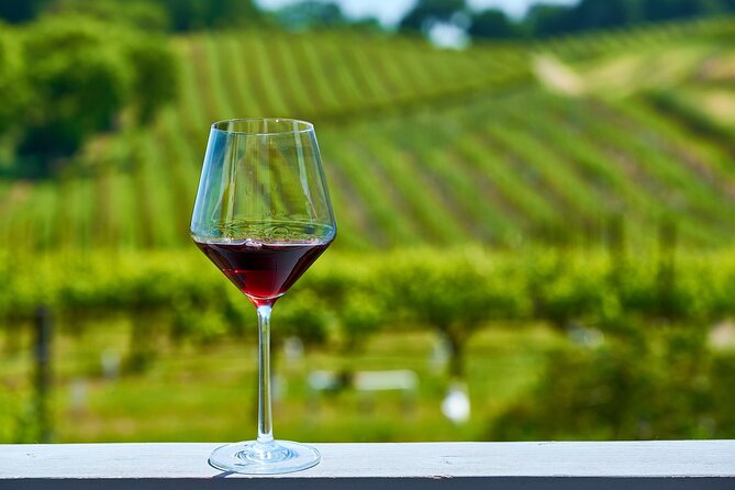 Full Day Private Podgorica Wine Tour Experience - The Sum Up