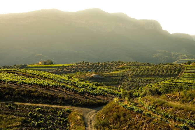 Full-Day Private Priorat Wine Tour Experience From Barcelona - Common Questions