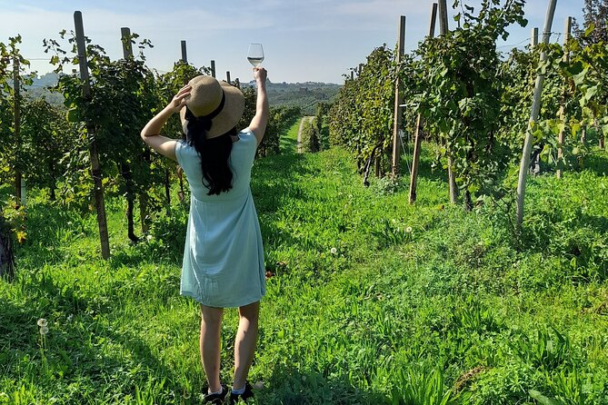 Full-Day Private Prosecco Road Tour All Inclusive From Venice - Additional Information