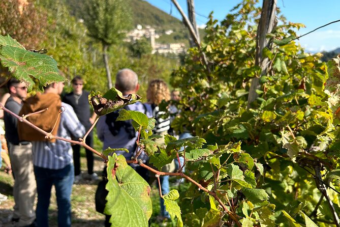 Full-Day Private Prosecco Road Tour All Inclusive From Venice - Directions