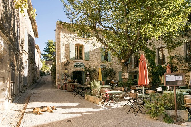 Full-Day Private Provence and Verdon Canyon Tour From Nice - Additional Information