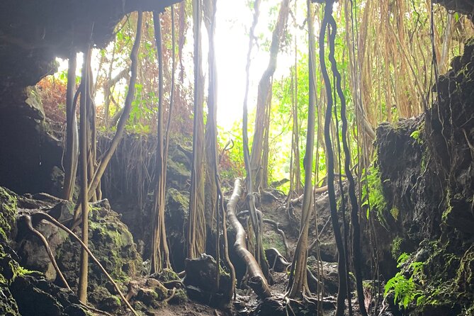 Full-Day Private Road to Hana Tour From Lahaina-Kapalua - Itinerary Overview