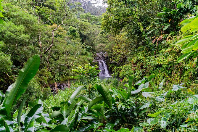 Full-Day Private Road to Hana Tour From Wailea - Kihei - Itinerary Overview