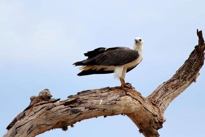 Full Day Private Safari at Yala National Park by La Safari Inn Tours - The Guide and Experience Quality