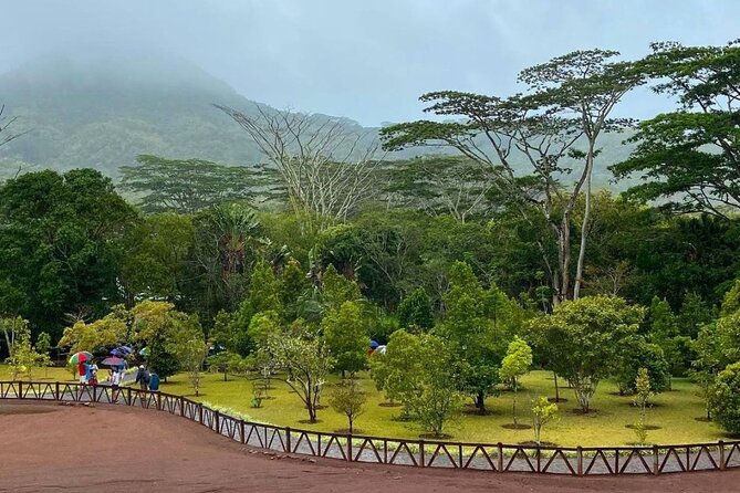 Full Day Private Scenic Tour in the South West of Mauritius - Accessibility Information