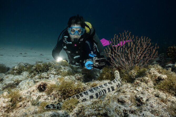 Full Day Private Scuba Diving in Espiritu Santo Island - Good To Know