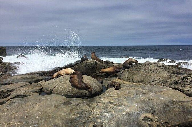 Full Day Private SD Tour from Coronado Island - Final Thoughts