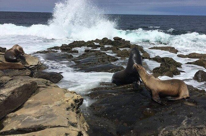 Full Day Private SD Tour from Oceanside - FAQs