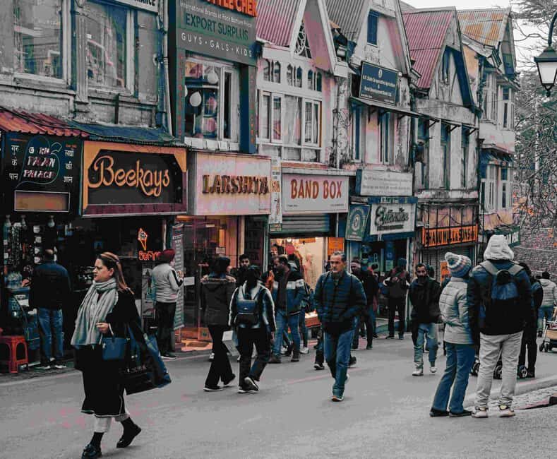 Full-Day Private Shimla Tour with Scenic Kufri Hill Station - Who Will Love This Tour?