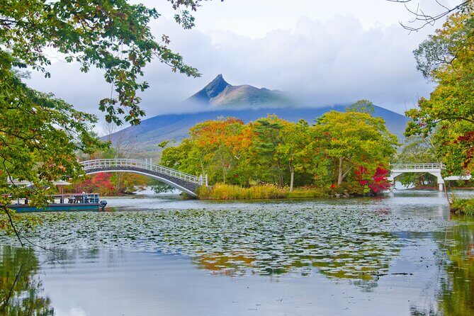 Full-Day Private Shore Tour Hakodate Highlights by Van - Good To Know