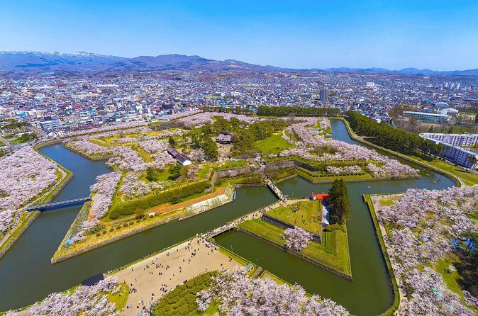 Full-Day Private Shore Tour Hakodate Highlights by Van - Who Would Benefit from This Tour?  