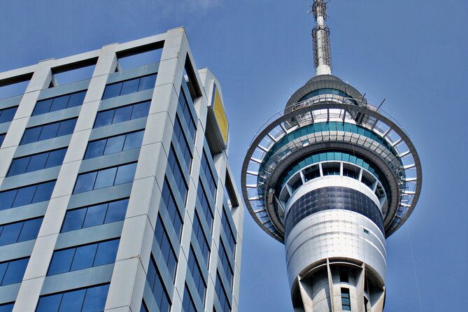 Full Day Private Shore Tour in Auckland From Auckland Cruise Port - Additional Information and Terms