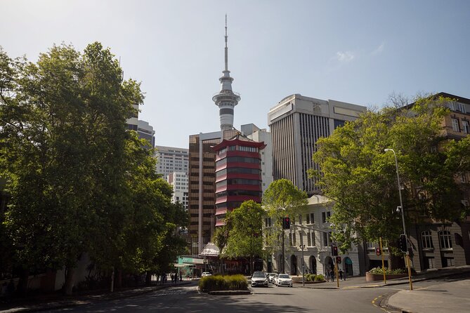 Full Day Private Shore Tour in Auckland From Bay of Islands Port - Tour Route and Duration