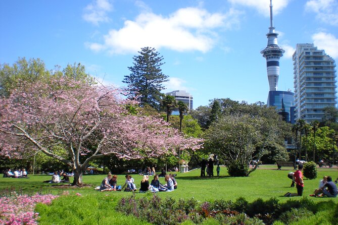 Full Day Private Shore Tour in Auckland From Tauranga Cruise Port - Booking and Reservation
