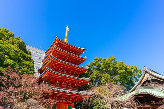 Full Day Private Shore Tour in Fukuoka From Fukuoka Cruise Port - Lowest Price Guarantee