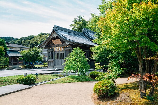 Full Day Private Shore Tour in Fukuoka From Fukuoka Cruise Port - The Sum Up
