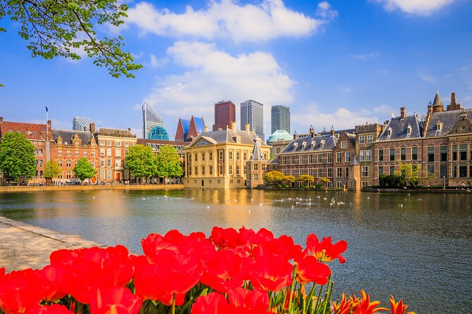 Full Day Private Shore Tour in Hague From Amsterdam Cruise Port - Booking and Reservation
