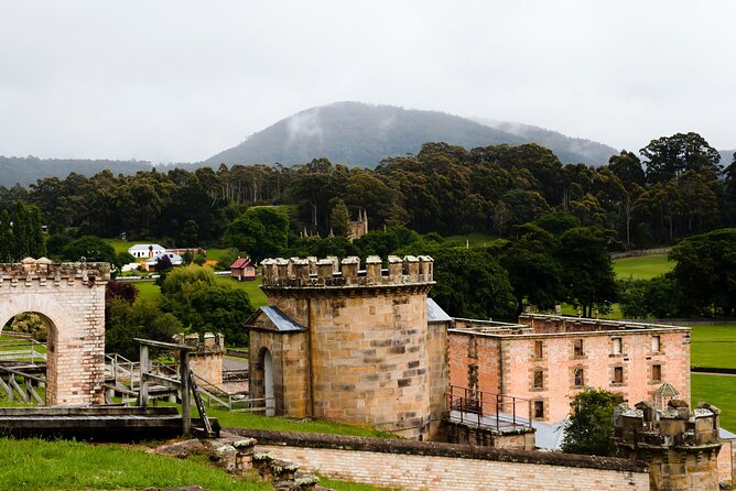 Full Day Private Shore Tour in Hobart From Hobart Cruise Port - Common Questions