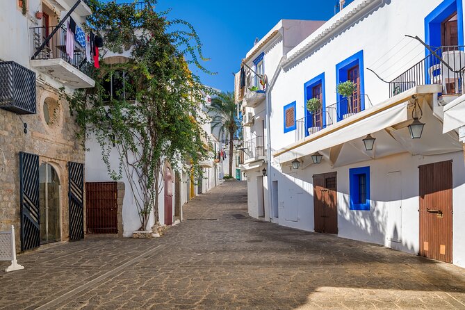Full Day Private Shore Tour in Ibiza From Ibiza Cruise Port - Cancellation Policy