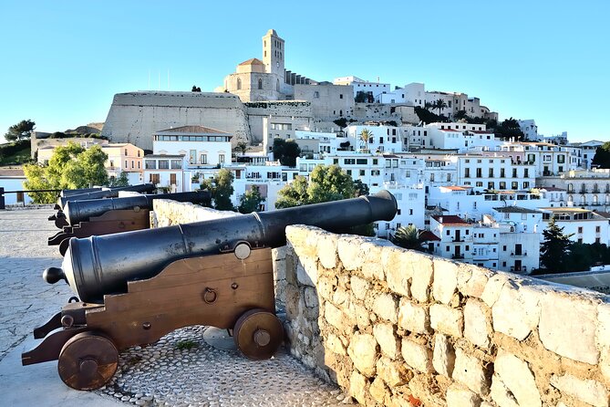 Full Day Private Shore Tour in Ibiza From Ibiza Cruise Port - Directions