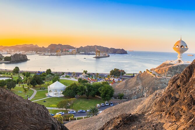 Full Day Private Shore Tour in Muscat From Muscat Cruise Port - Services Provided