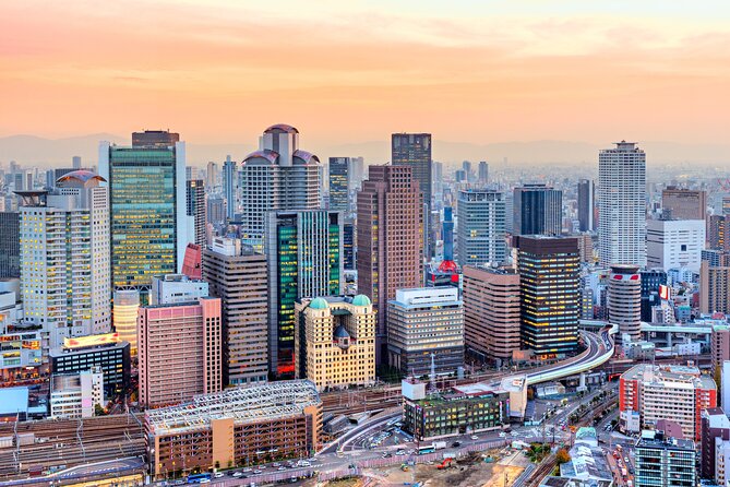 Full Day Private Shore Tour in Osaka From Osaka Cruise Port - Pricing and Booking Details