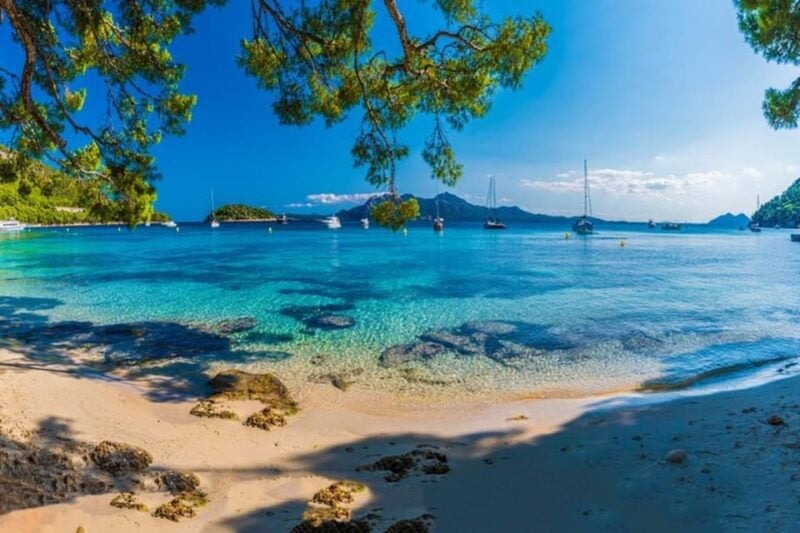 Full Day Private Shore Tour in Palma De Mallorca From Port - Pickup and Transportation