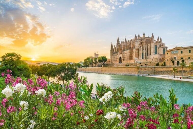 Full Day Private Shore Tour in Palma De Mallorca From Port - Tour Highlights and Activities