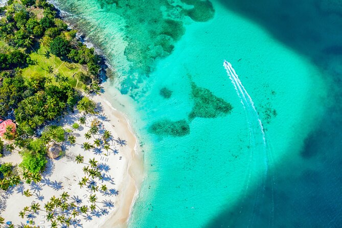 Full Day Private Shore Tour in Punta Cana From La Romana Port - Tour Highlights
