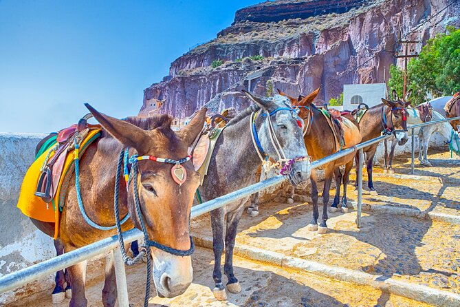 Full Day Private Shore Tour in Santorini From Santorini Port - The Sum Up