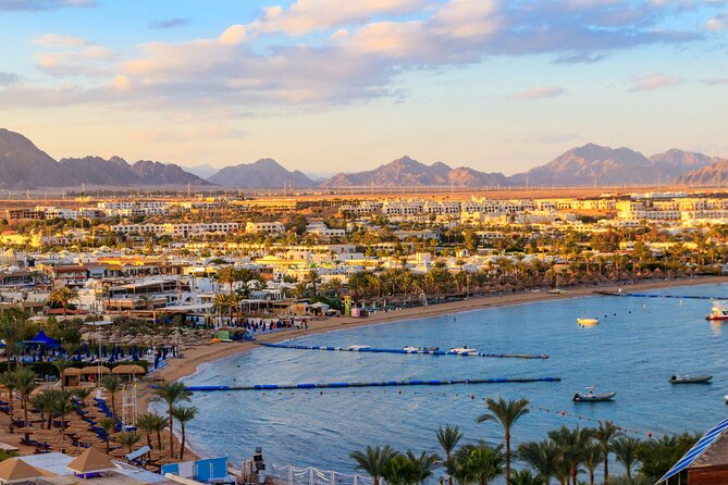 Full Day Private Shore Tour in Sharm From Sharm El-Sheikh Port - Pricing and Booking