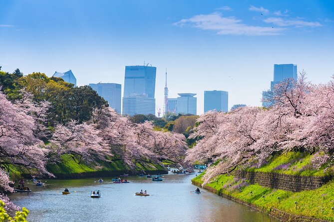 Full Day Private Shore Tour in Tokyo From Tokyo Cruise Port - Booking and Reservation