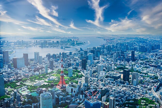 Full Day Private Shore Tour in Tokyo From Tokyo Cruise Port - Tour Details