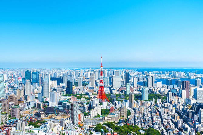 Full Day Private Shore Tour in Tokyo From Yokohama Cruise Port - Booking and Reservation