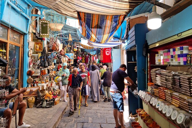 Full Day Private Shore Tour in Tunis From La Goulette Cruise Port - Transportation Services