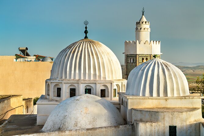 Full Day Private Shore Tour in Tunis From La Goulette Cruise Port - Additional Information