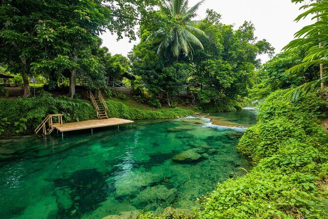 Full Day Private Shore Tour: Taste, Sea & Swim in Port Vila - Good To Know