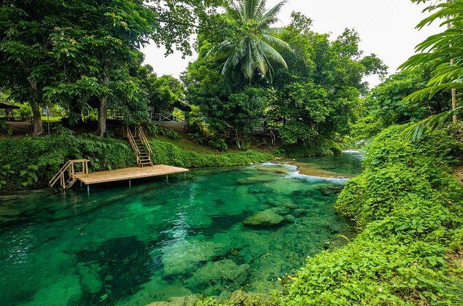 Full Day Private Shore Tour: Taste, Sea & Swim in Port Vila - FAQ