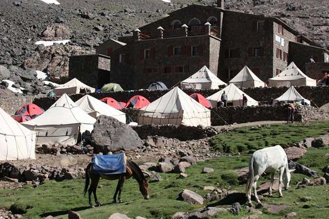 Full-Day Private Sightseeing Hiking Tour to Imlil and Toubkal - Frequently Asked Questions