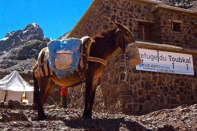 Full-Day Private Sightseeing Hiking Tour to Imlil and Toubkal - The Sum Up