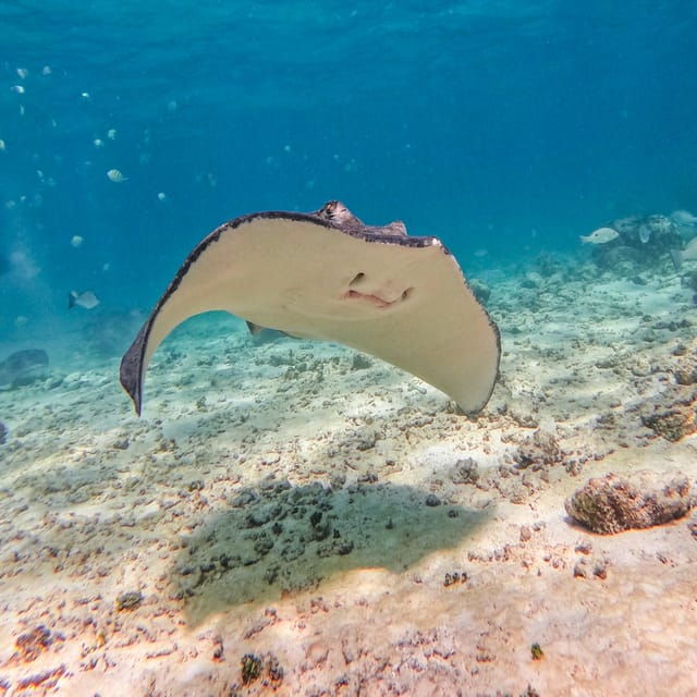 Full-Day Private Snorkel Tour in Tulum and Sian Kaan - Scenic Photo Opportunities