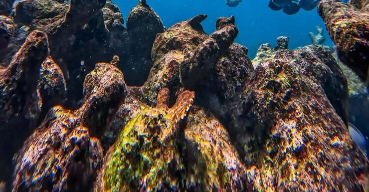 Full-Day Private Snorkel Tour in Tulum and Sian Kaan - Panoramic Navigation