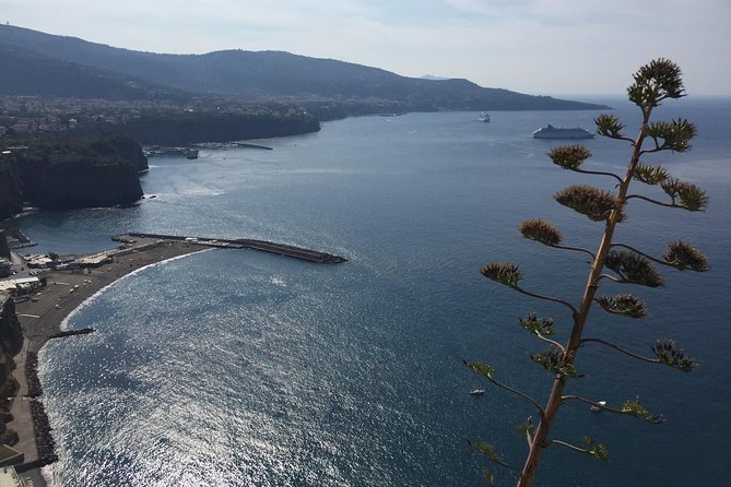 Full-Day Private Sorrento & Amalfi Coast Tour From Positano - Tour Inclusions