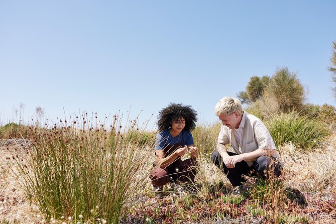 Full-Day Private Southern Cultural Bus Tour in Fleurieu Peninsula - The Sum Up