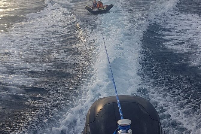 Full- Day Private Speedboat Tour in Dubrovnik on Elaphiti Islands - The Sum Up